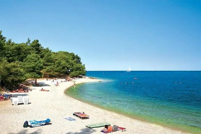 Golden Sun, Novigrad, Istria, Croatia